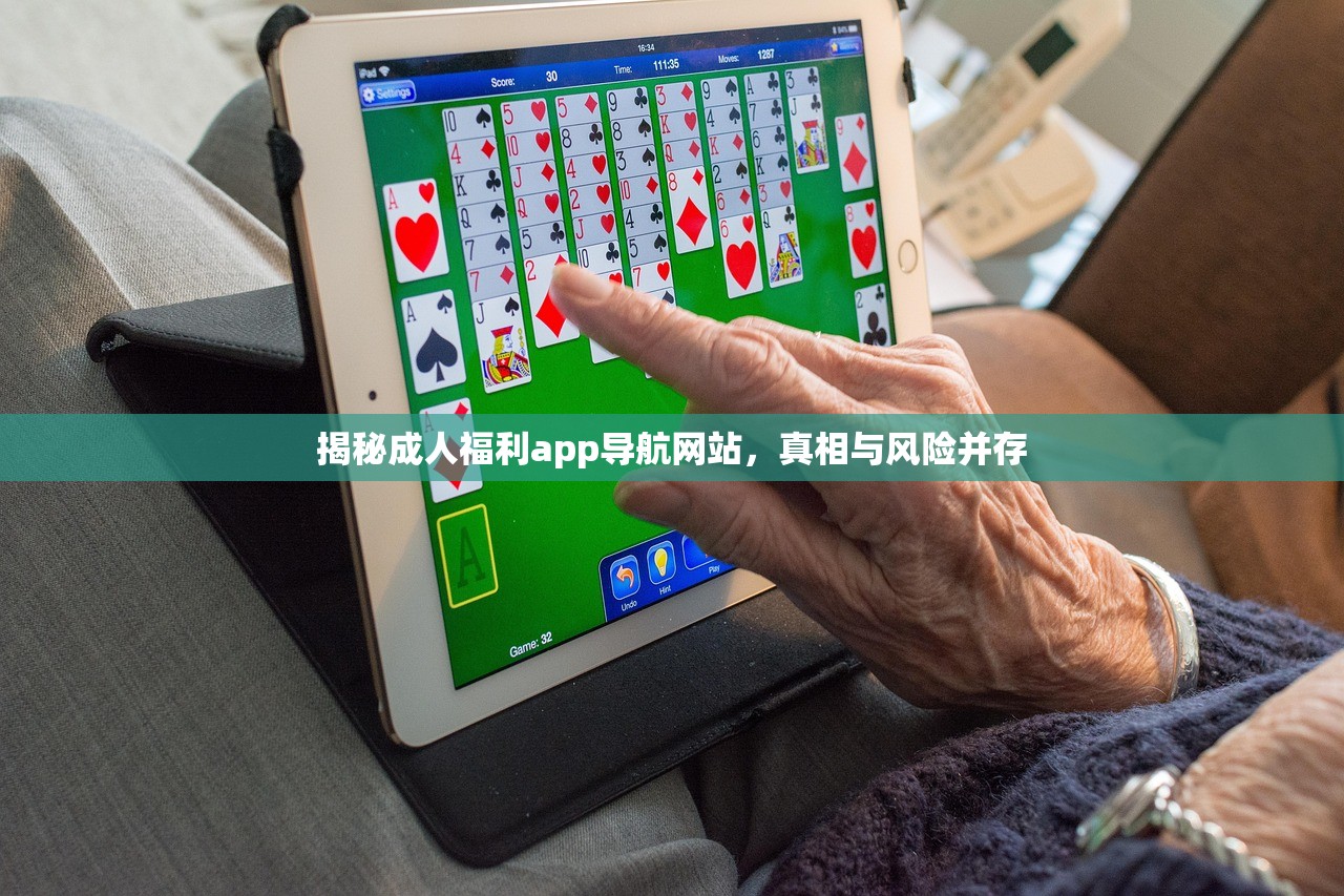 揭秘成人福利app导航网站，真相与风险并存