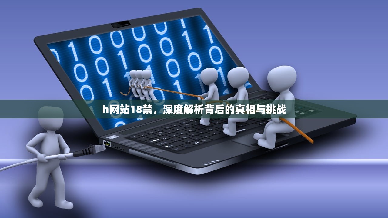 h网站18禁，深度解析背后的真相与挑战
