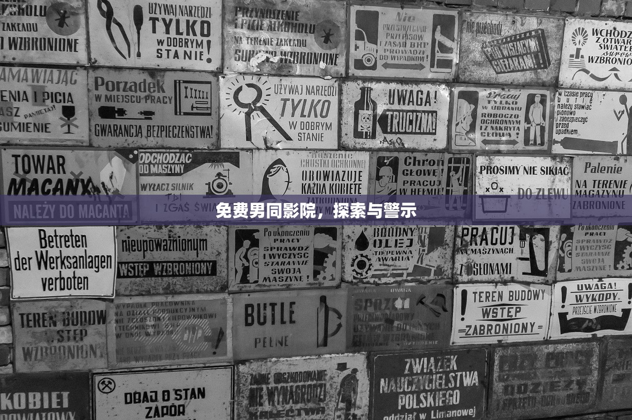 免费男同影院，探索与警示