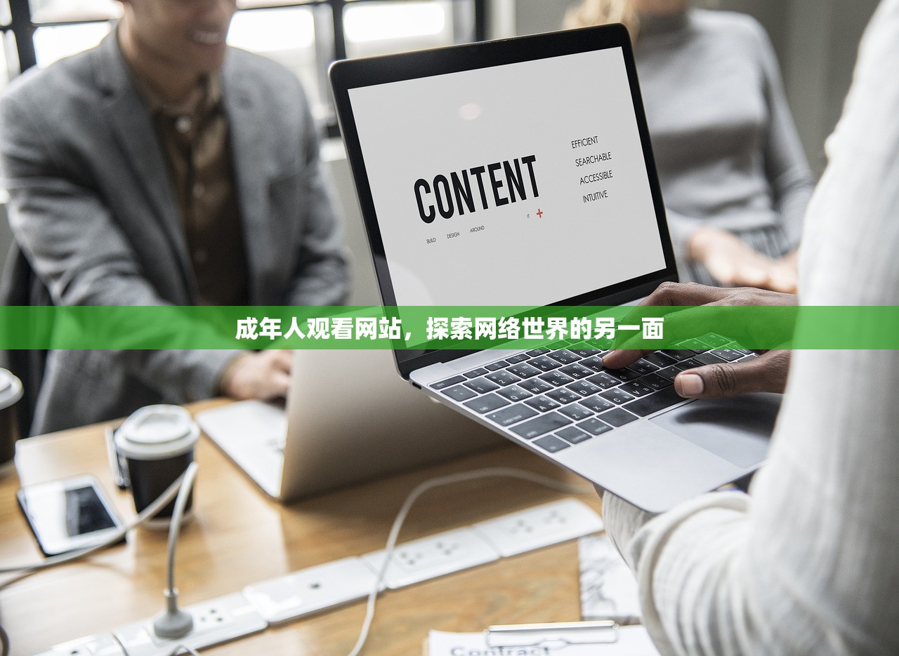 成年人观看网站，探索网络世界的另一面