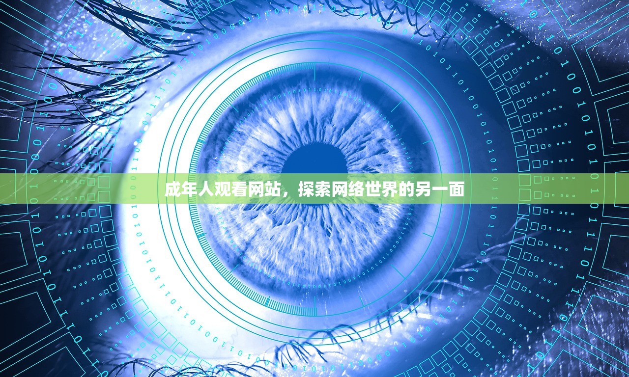 成年人观看网站，探索网络世界的另一面