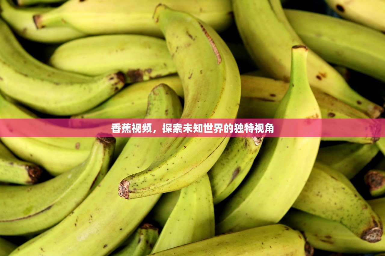 香蕉视频，探索未知世界的独特视角
