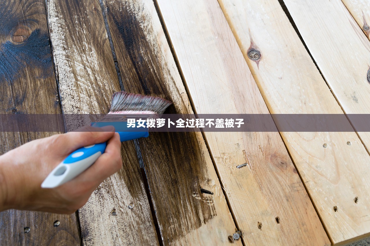 男女拨萝卜全过程不盖被子
