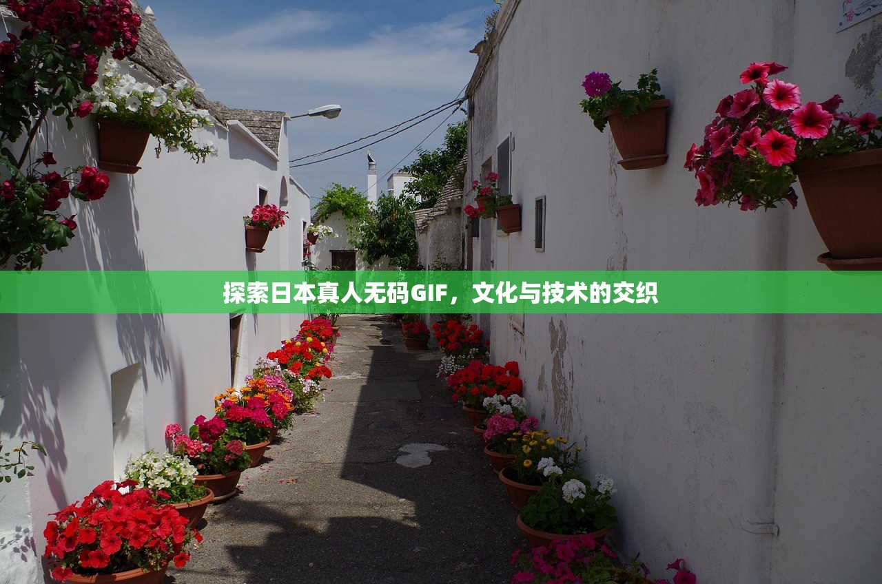 探索日本真人无码GIF，文化与技术的交织