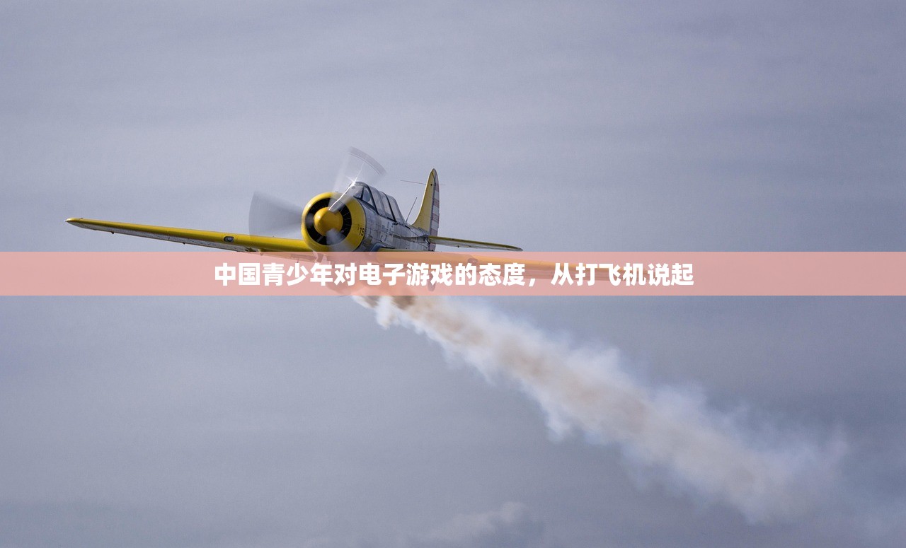 中国青少年对电子游戏的态度，从打飞机说起