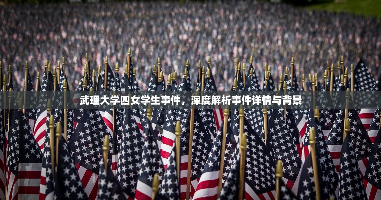武理大学四女学生事件，深度解析事件详情与背景