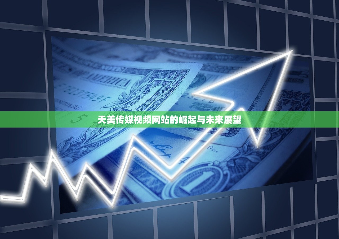 天美传媒视频网站的崛起与未来展望
