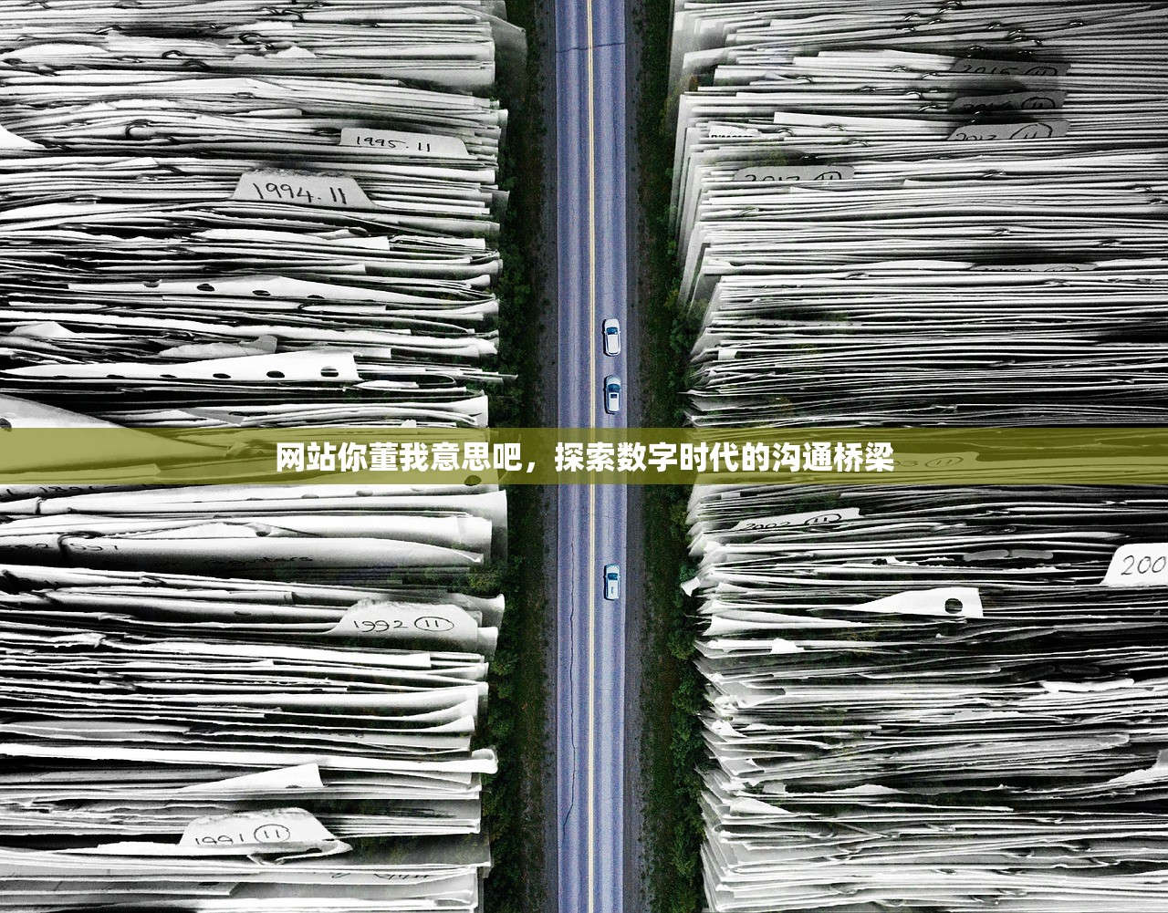 网站你董我意思吧，探索数字时代的沟通桥梁