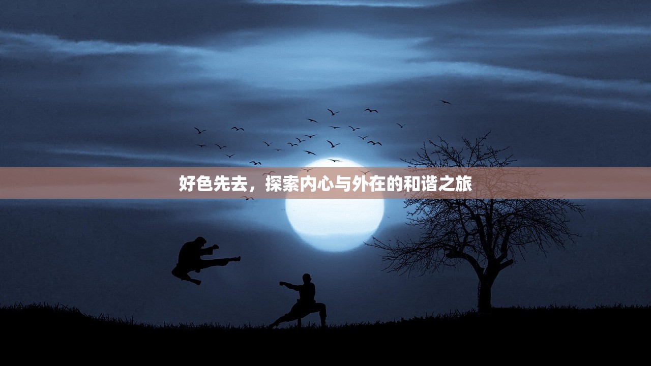 好色先去，探索内心与外在的和谐之旅