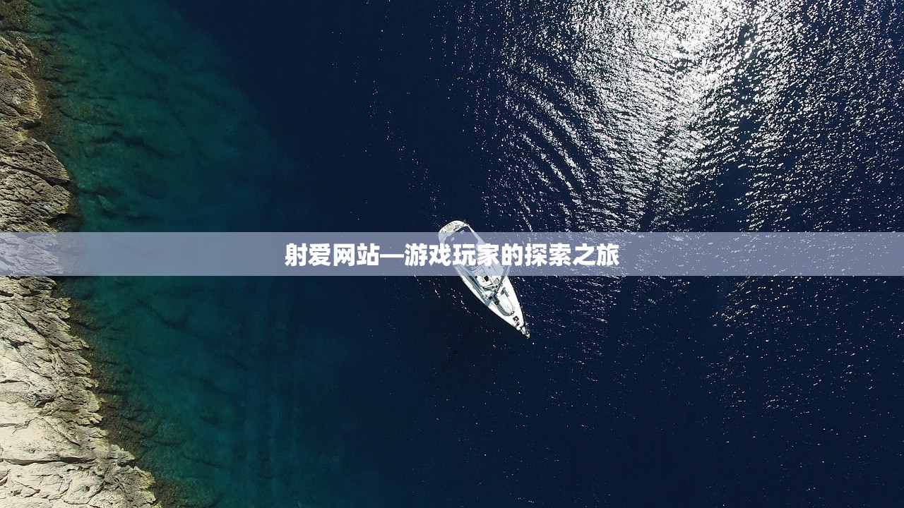 射爱网站—游戏玩家的探索之旅