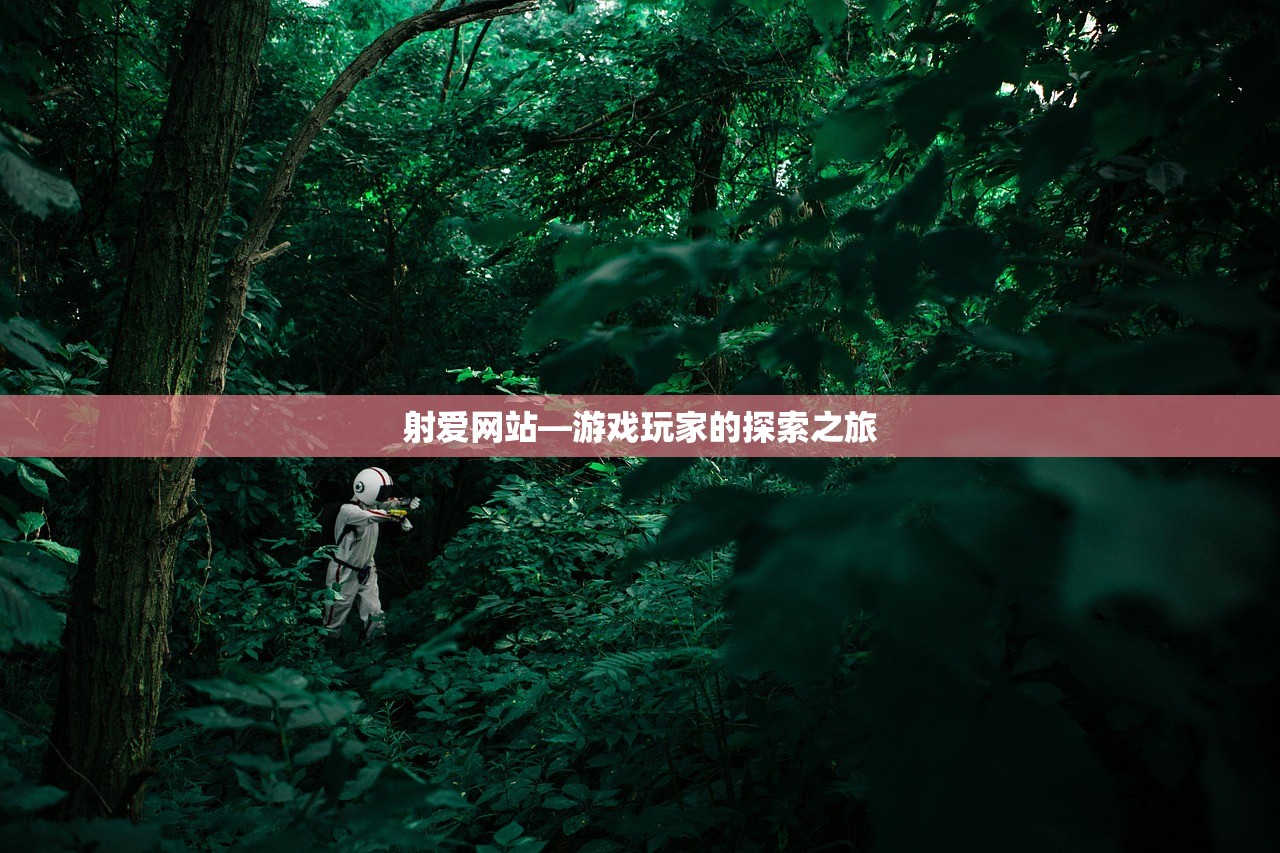 射爱网站—游戏玩家的探索之旅