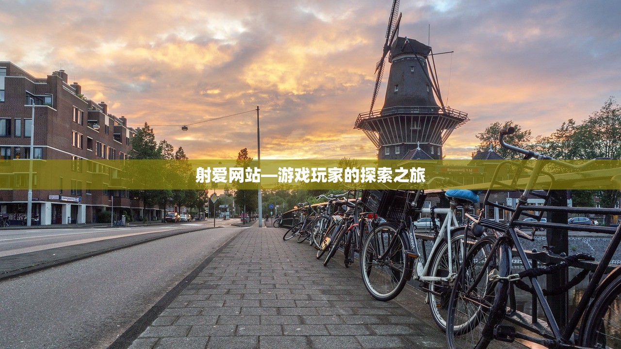 射爱网站—游戏玩家的探索之旅