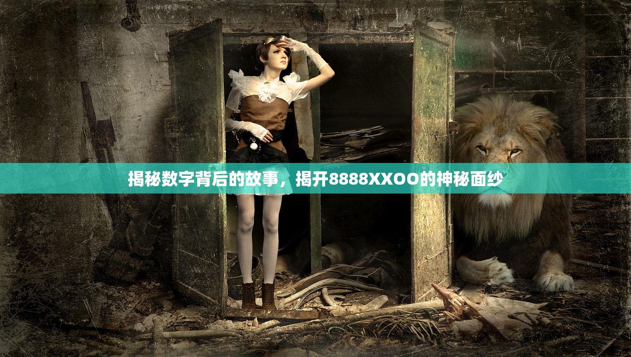 揭秘数字背后的故事，揭开8888XXOO的神秘面纱