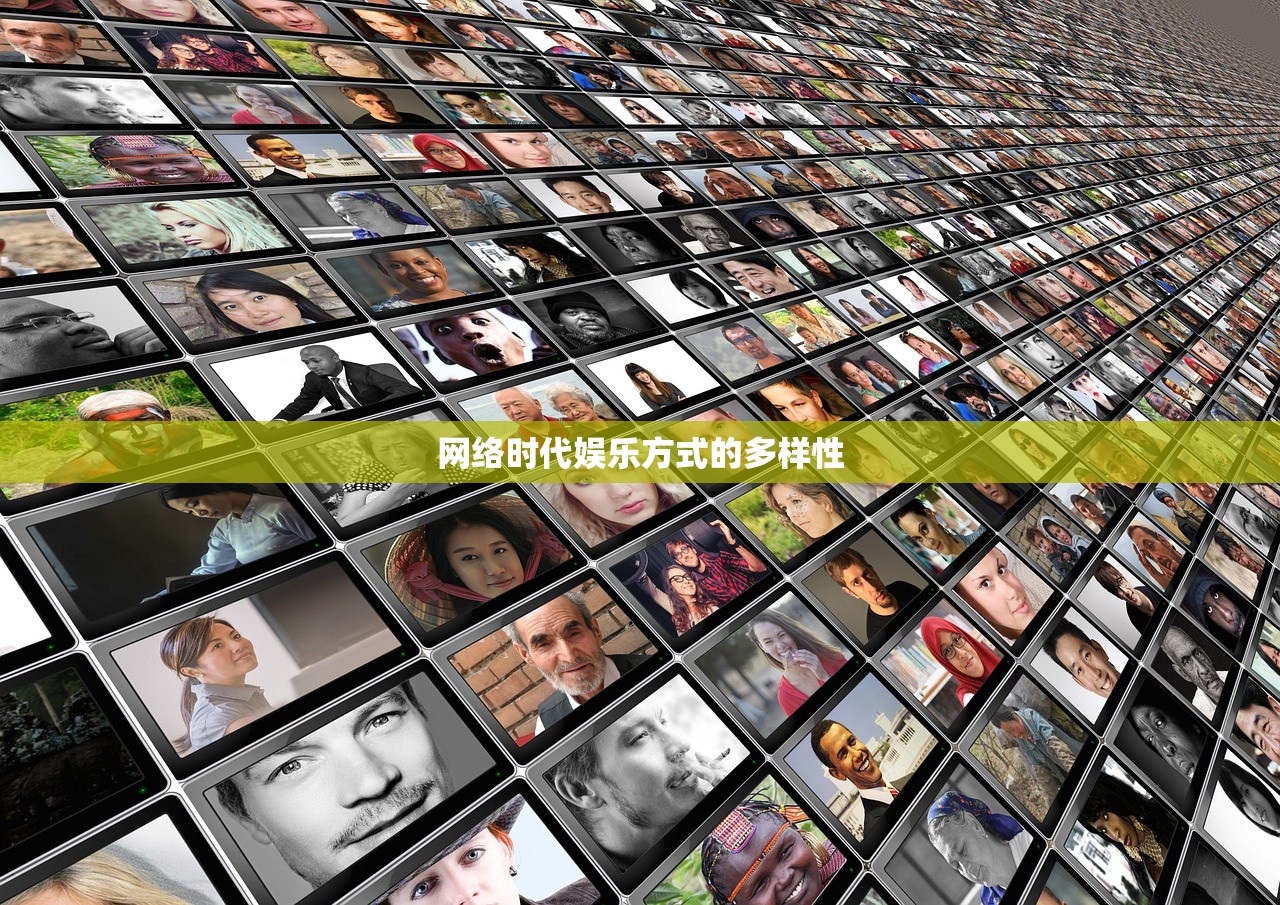 网络时代娱乐方式的多样性
