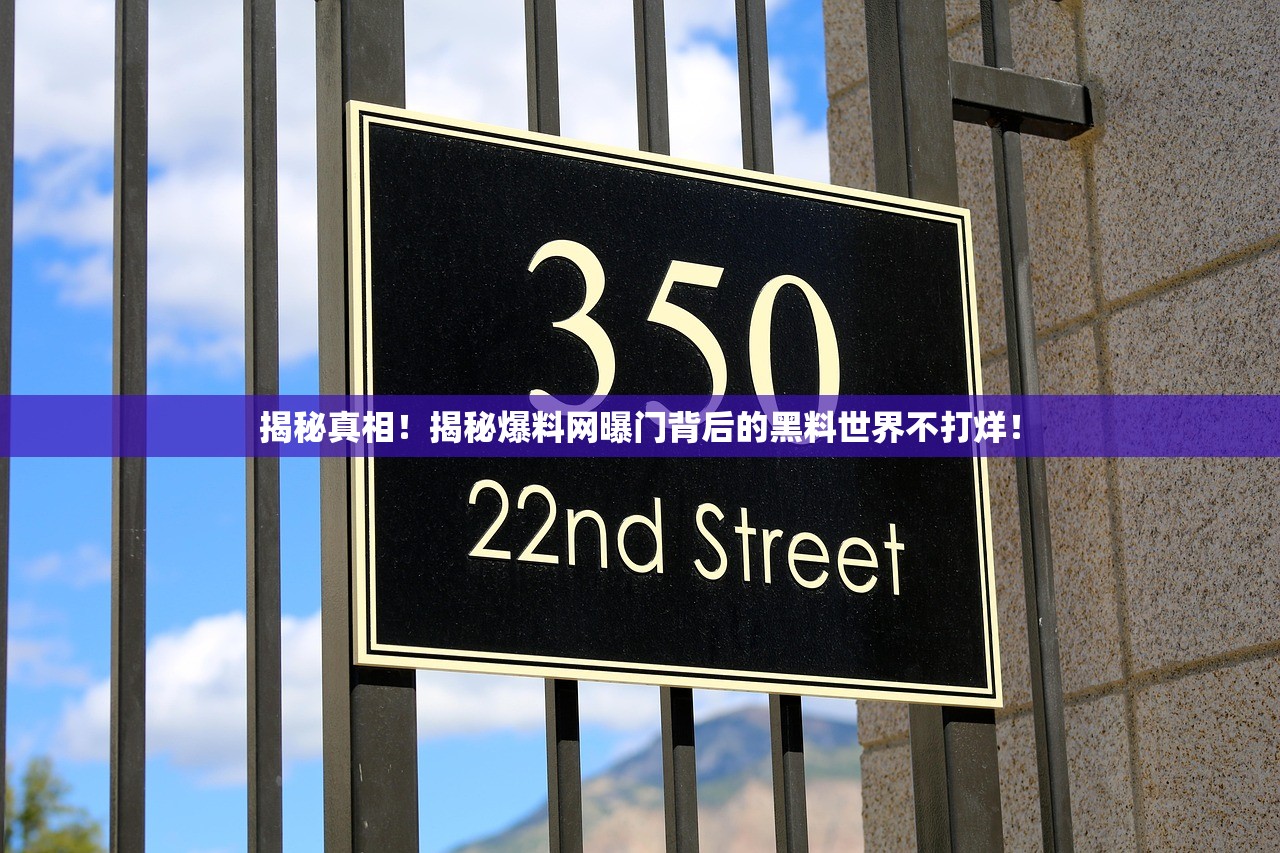 揭秘真相！揭秘爆料网曝门背后的黑料世界不打烊！