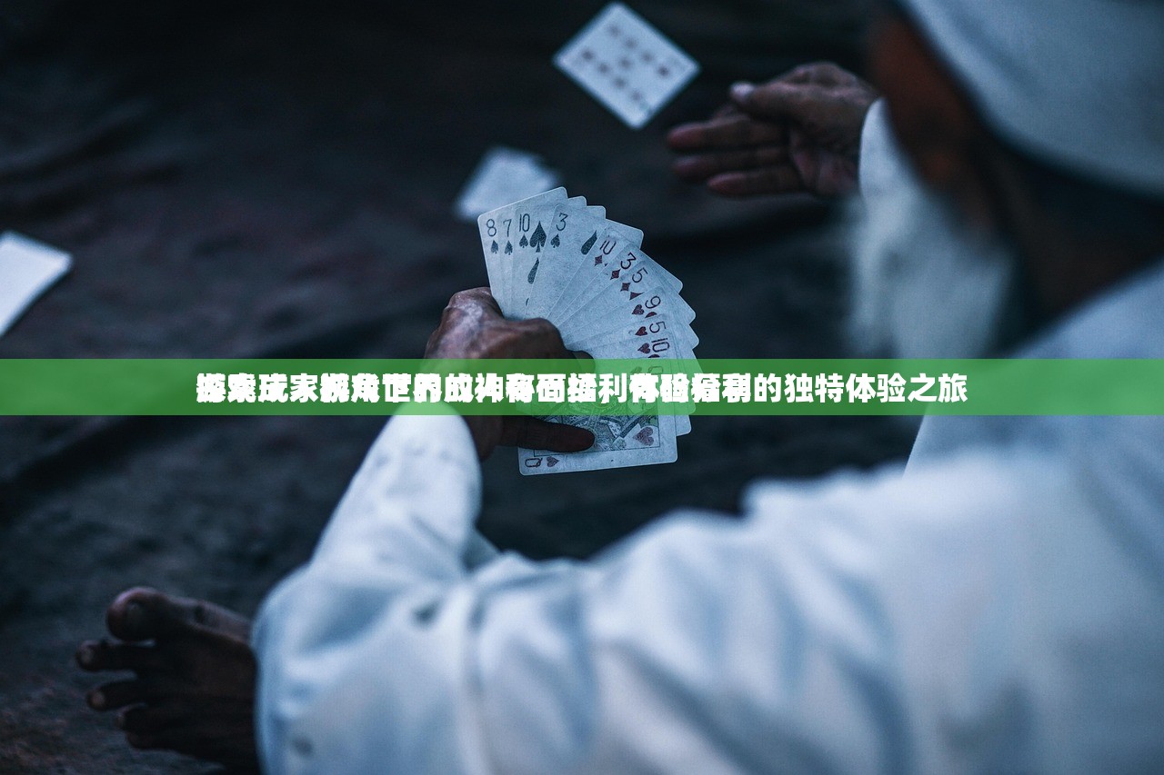 游戏玩家视角下的成人有码福利体验分享
探索成人游戏世界的神秘面纱，有码福利的独特体验之旅