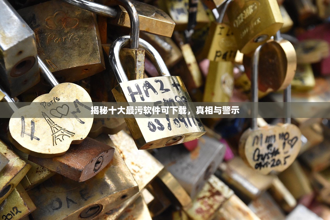 揭秘十大最污软件可下载，真相与警示