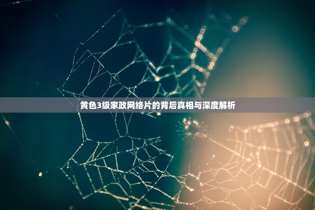 黄色3级家政网络片的背后真相与深度解析