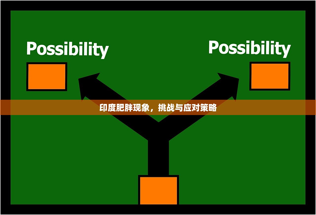 印度肥胖现象，挑战与应对策略