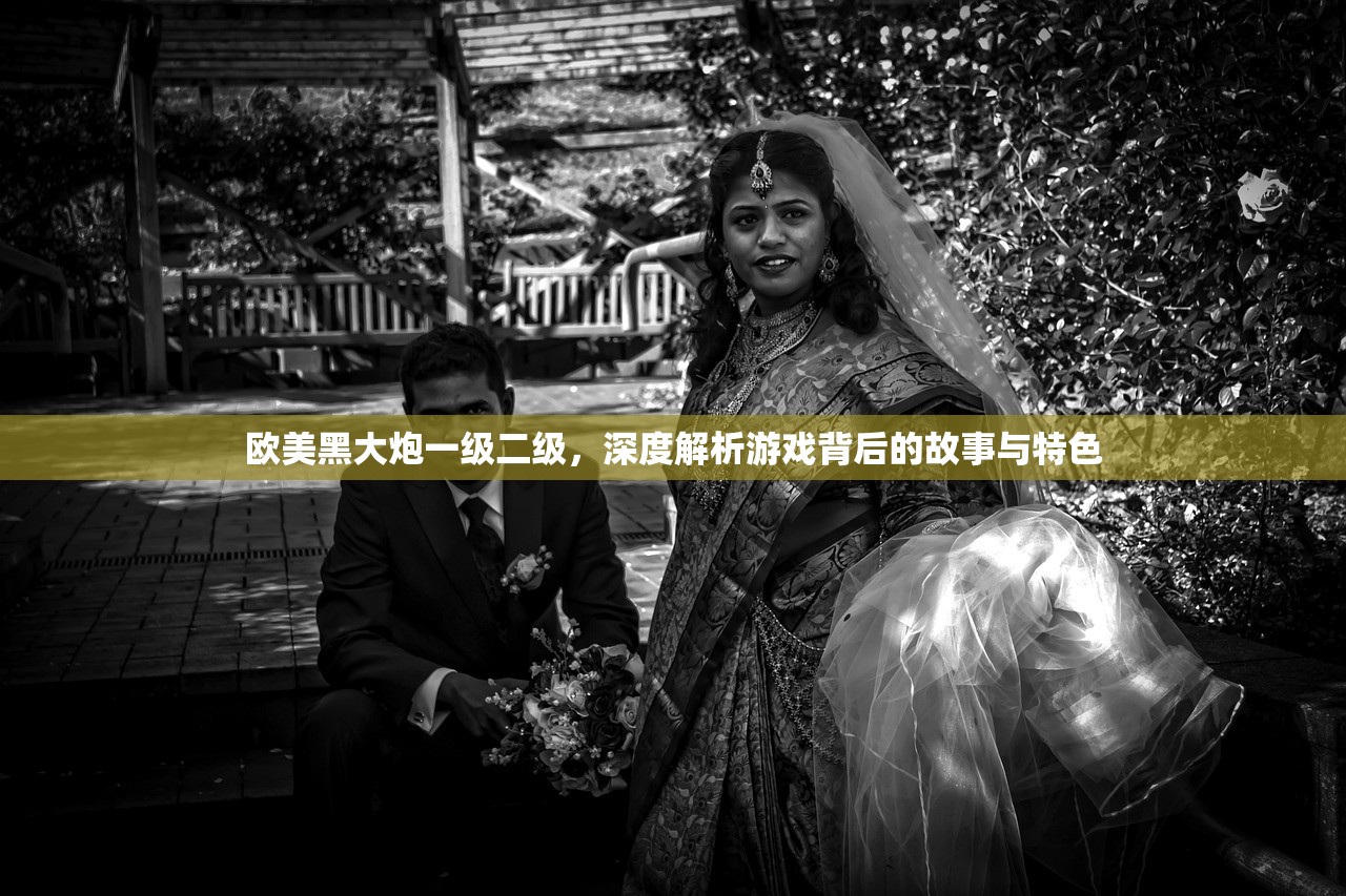欧美黑大炮一级二级，深度解析游戏背后的故事与特色