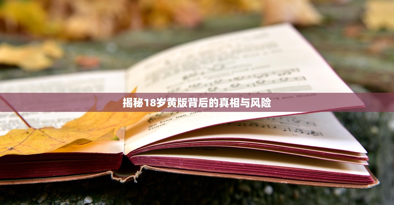 揭秘18岁黄版背后的真相与风险