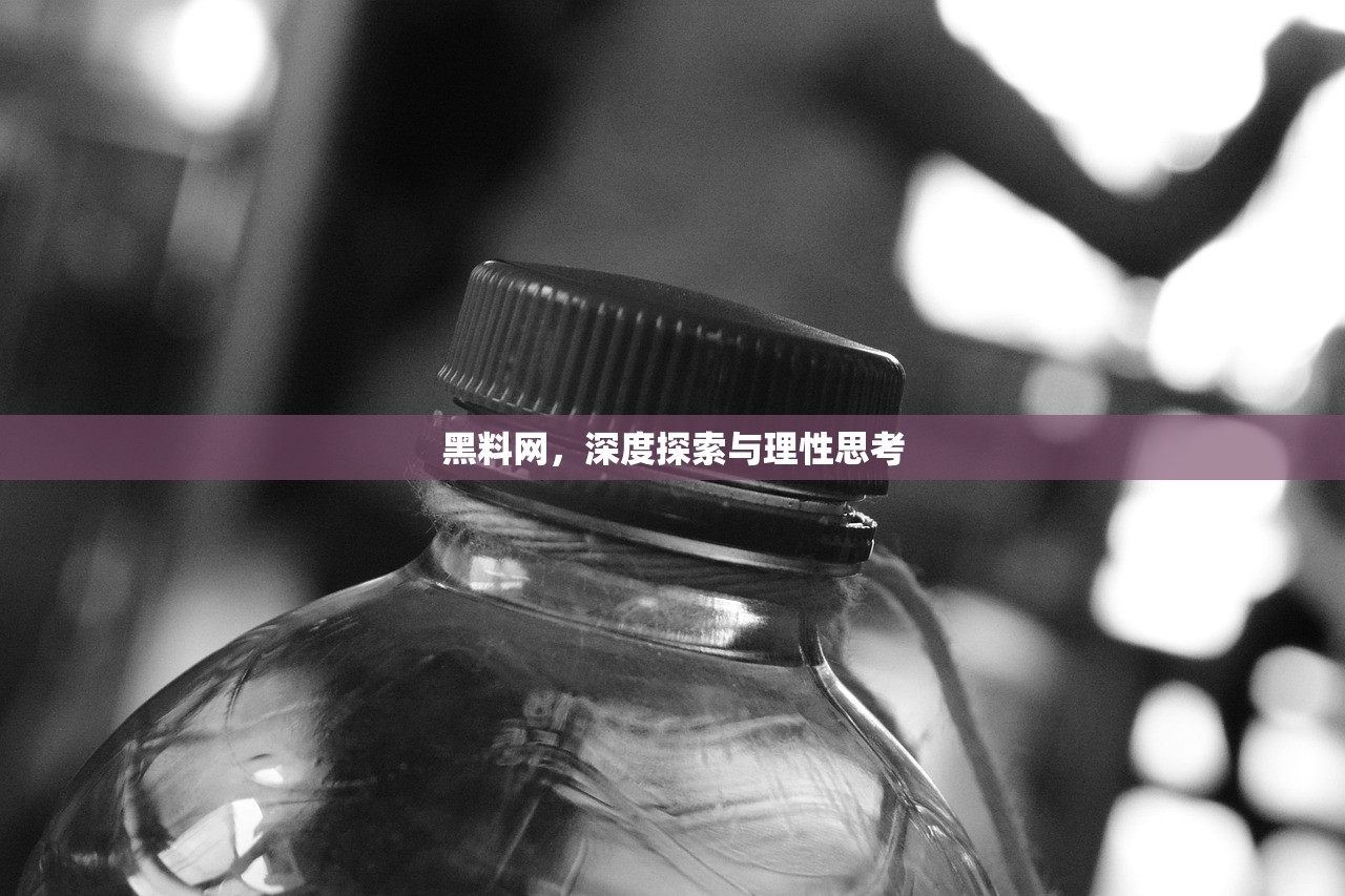 黑料网，深度探索与理性思考