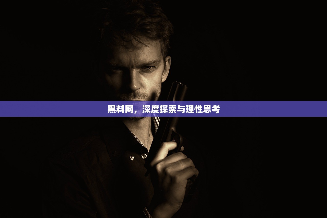黑料网，深度探索与理性思考
