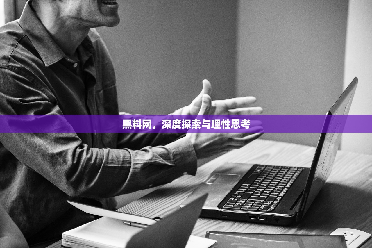 黑料网，深度探索与理性思考