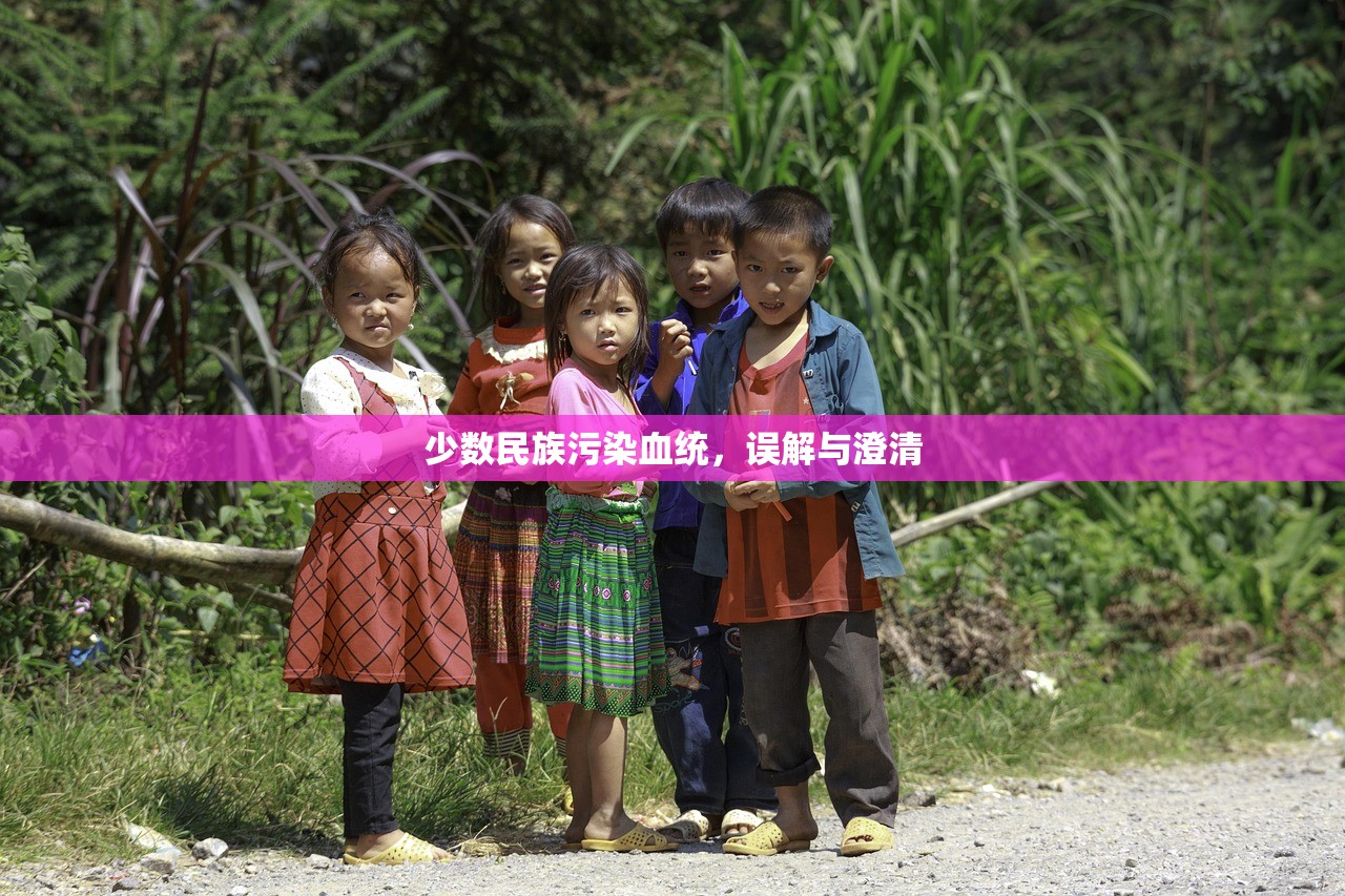 少数民族污染血统，误解与澄清
