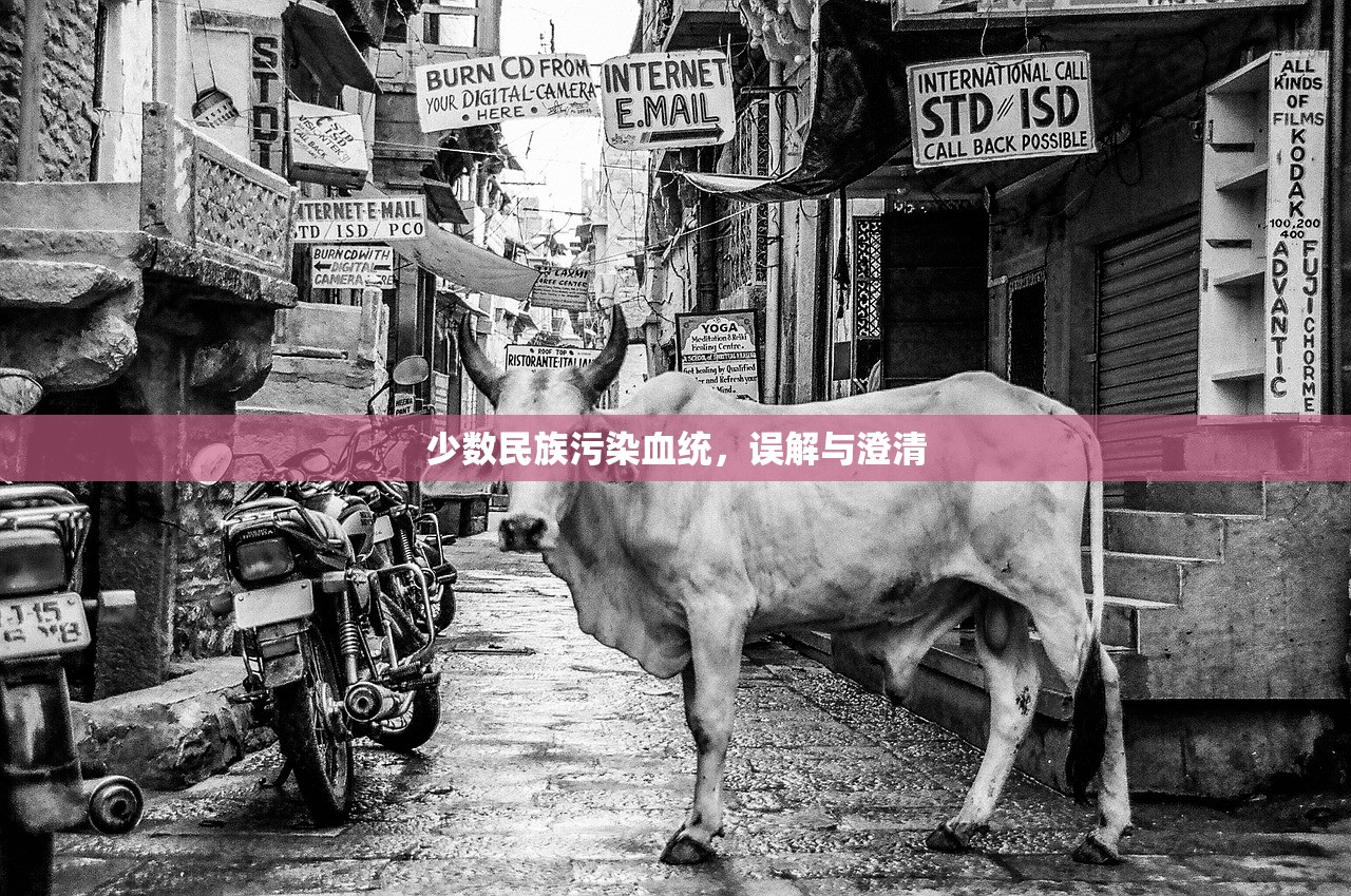 少数民族污染血统，误解与澄清
