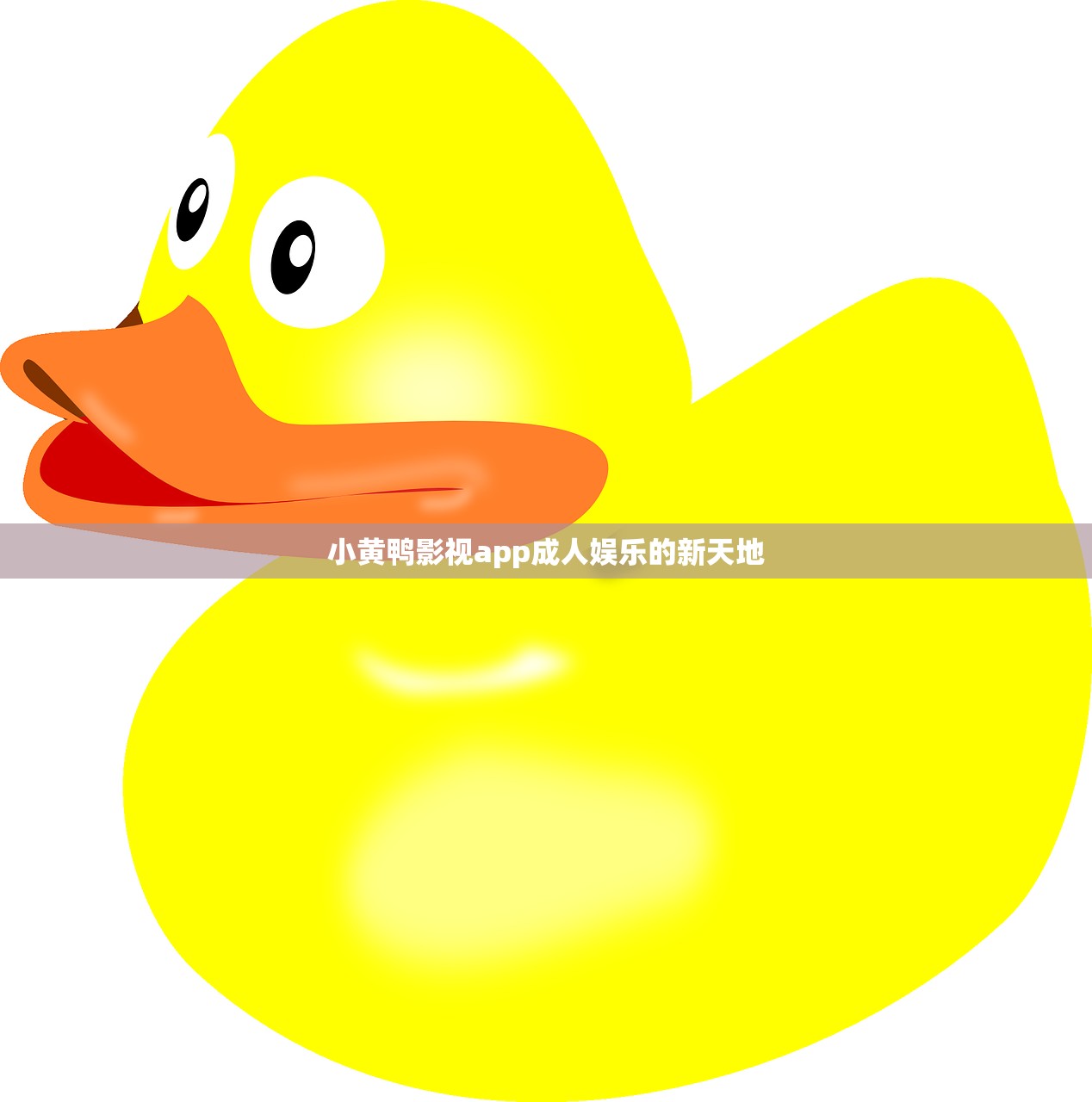 小黄鸭影视app成人娱乐的新天地