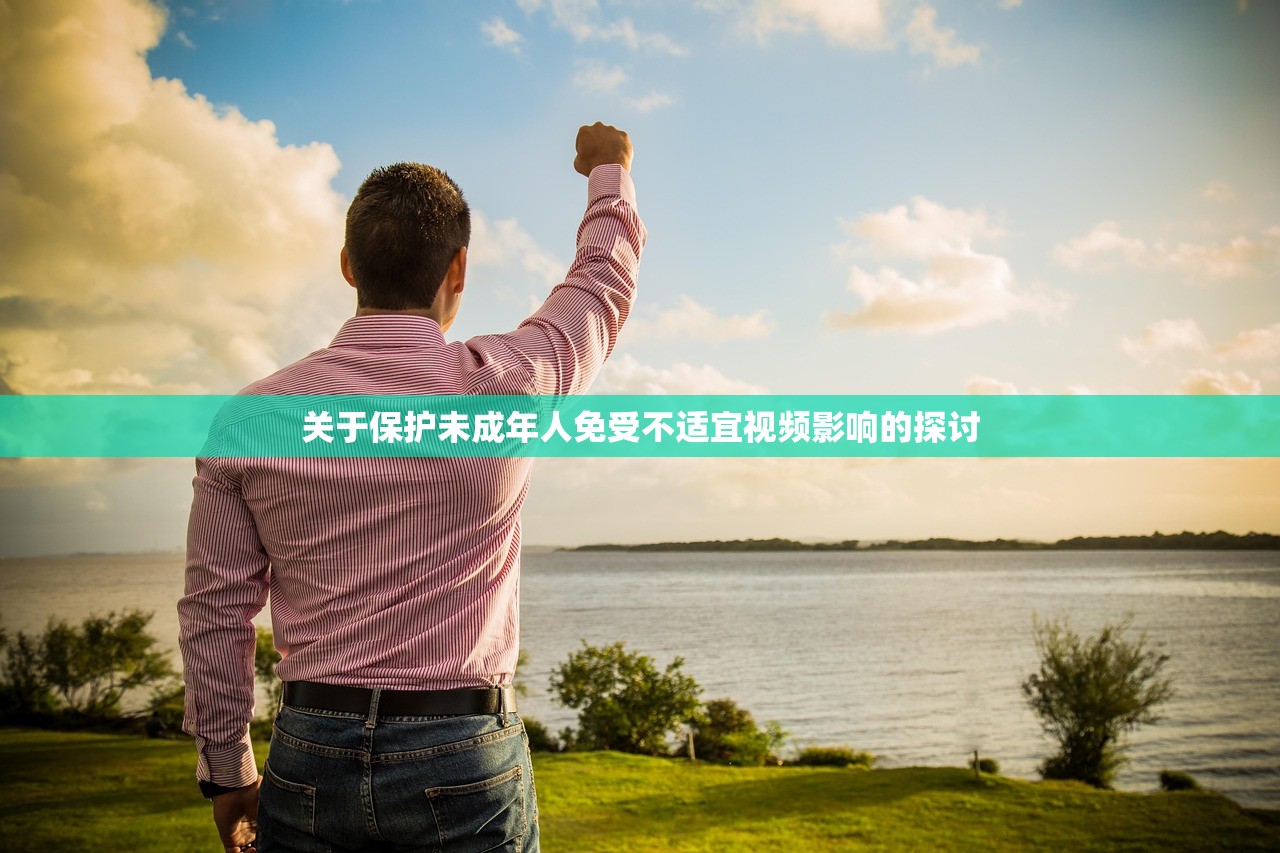 关于保护未成年人免受不适宜视频影响的探讨
