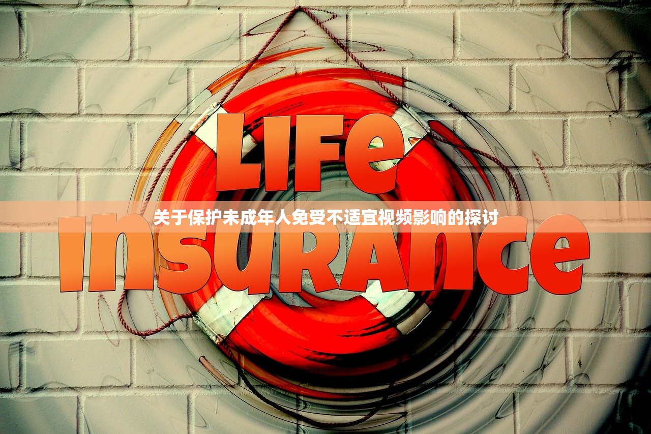 关于保护未成年人免受不适宜视频影响的探讨