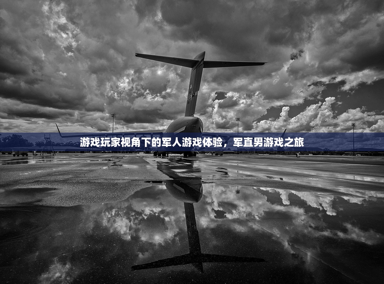 游戏玩家视角下的军人游戏体验，军直男游戏之旅