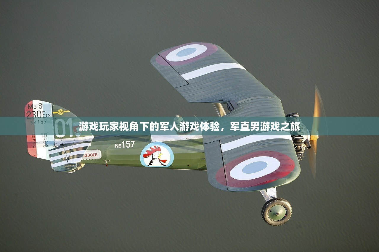 游戏玩家视角下的军人游戏体验，军直男游戏之旅
