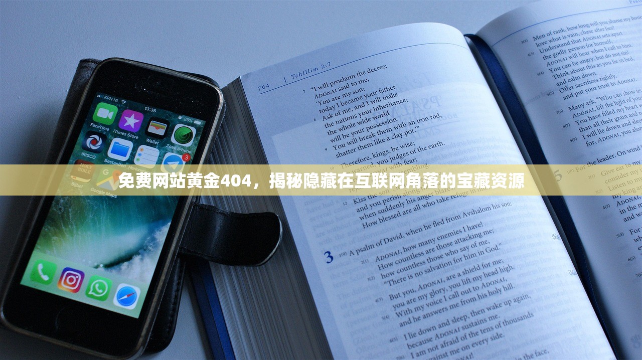 免费网站黄金404，揭秘隐藏在互联网角落的宝藏资源
