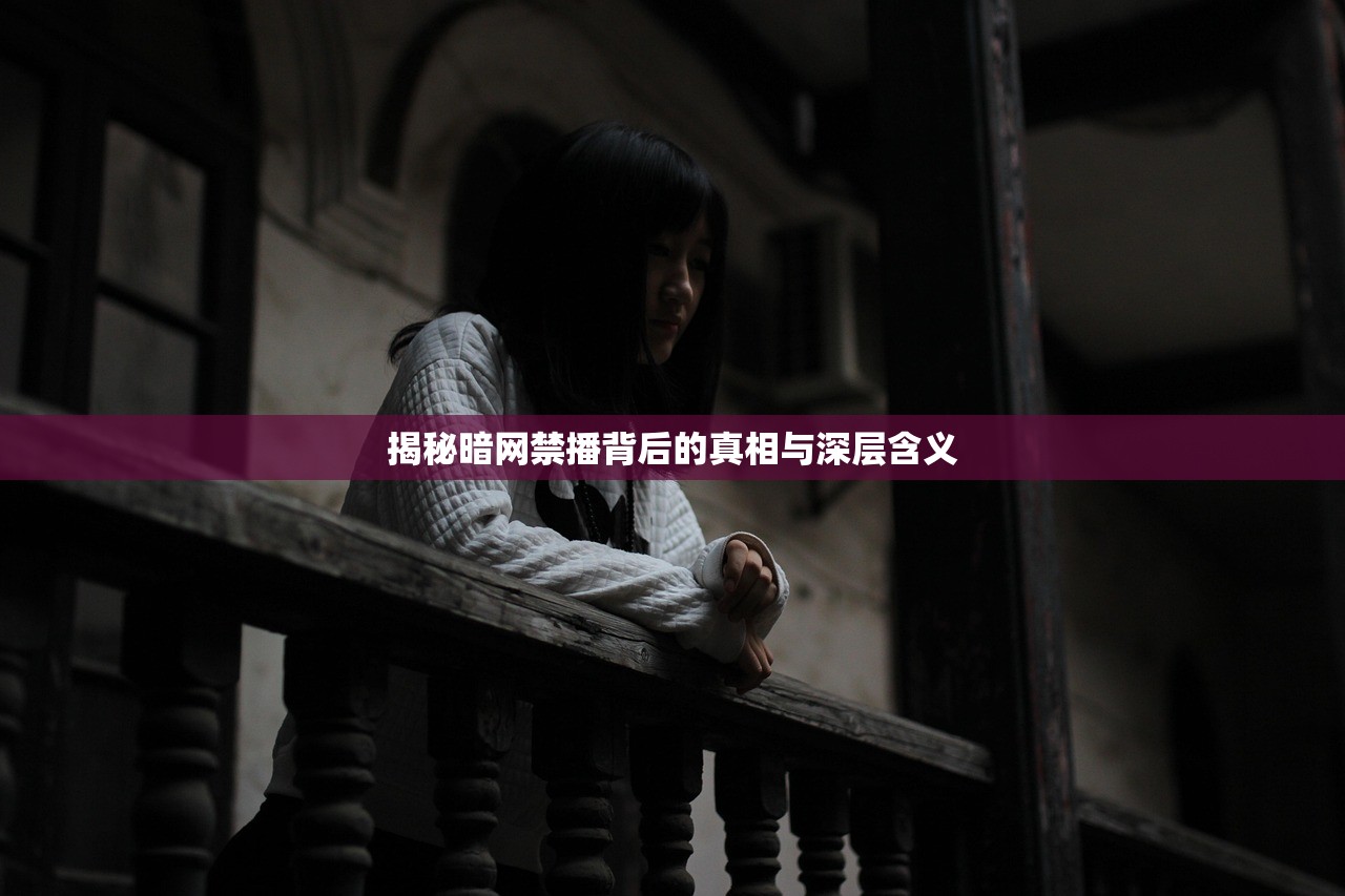 揭秘暗网禁播背后的真相与深层含义