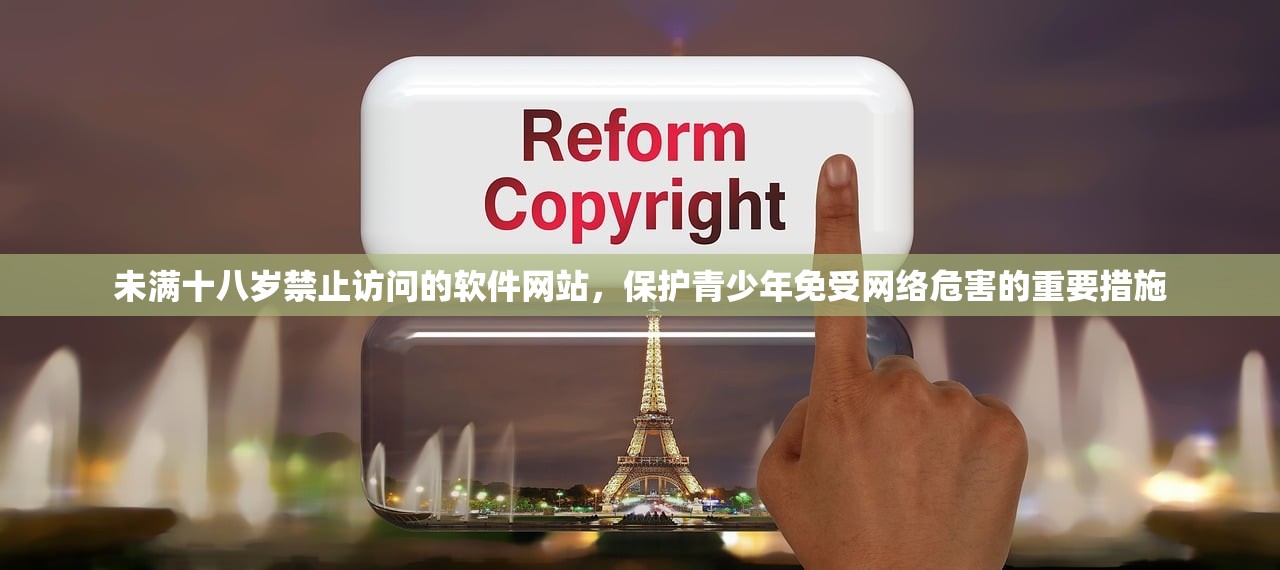未满十八岁禁止访问的软件网站，保护青少年免受网络危害的重要措施