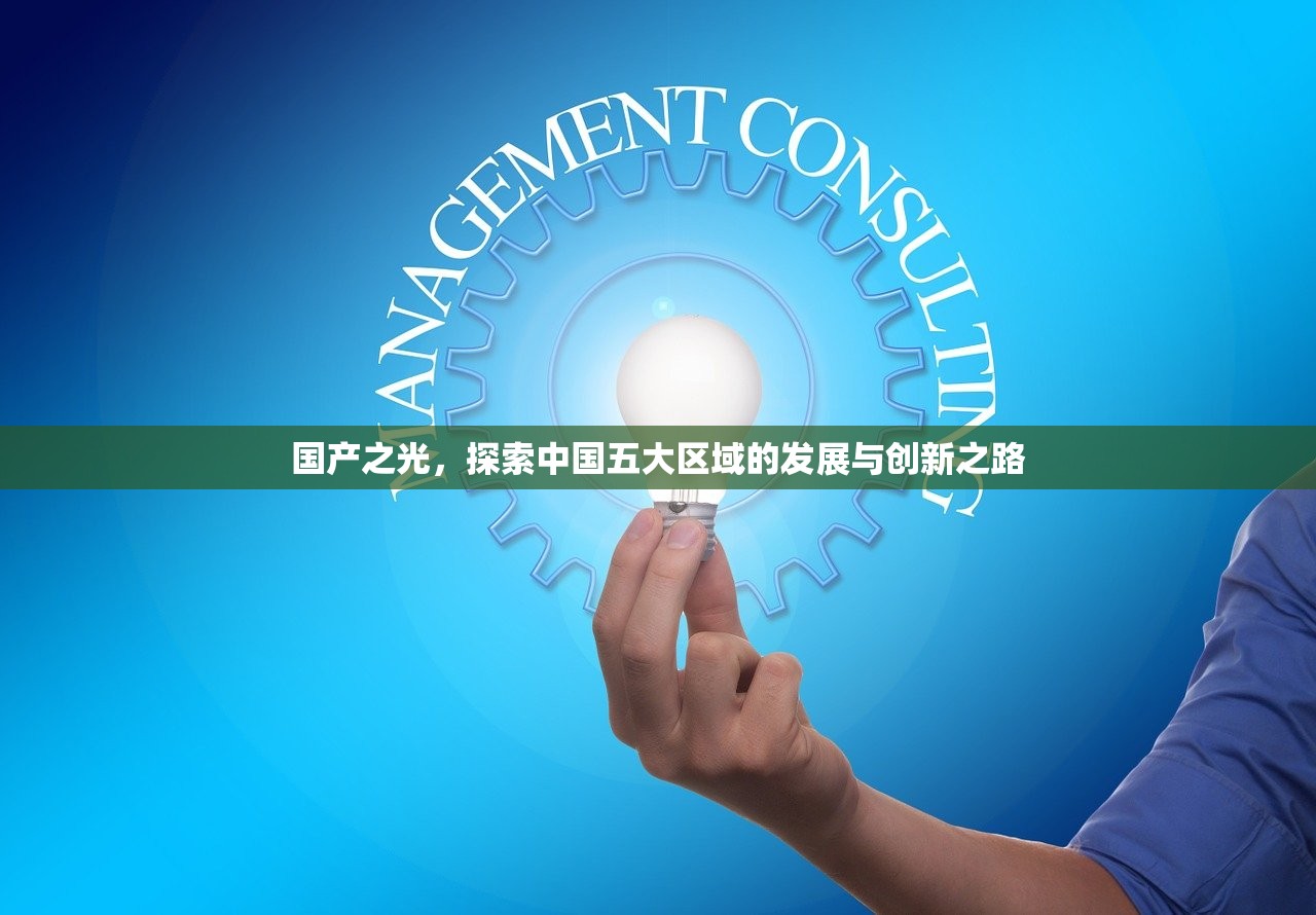 国产之光，探索中国五大区域的发展与创新之路