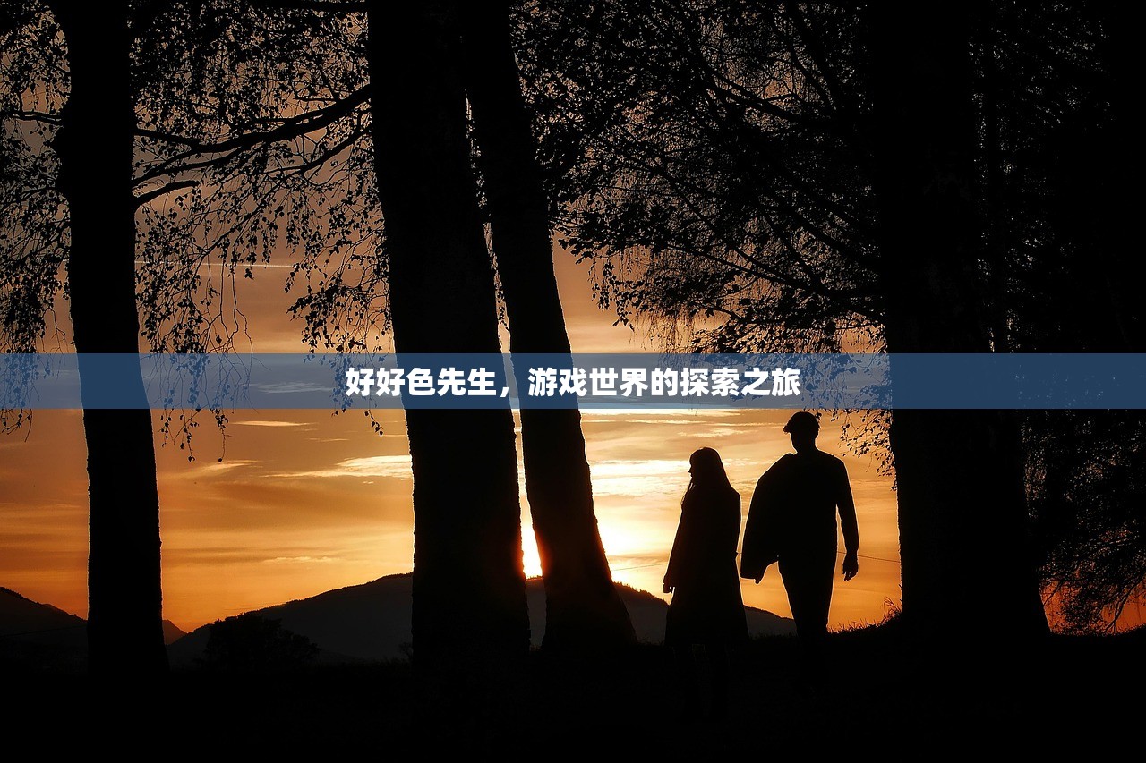 好好色先生，游戏世界的探索之旅