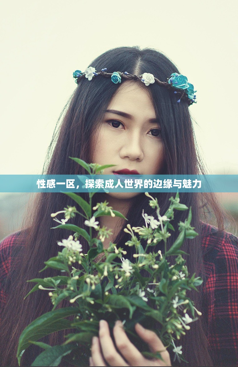 性感一区，探索成人世界的边缘与魅力