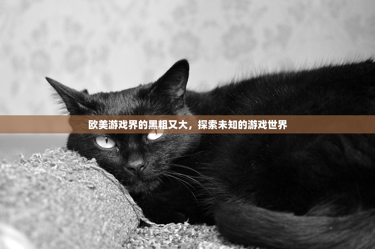 欧美游戏界的黑粗又大，探索未知的游戏世界