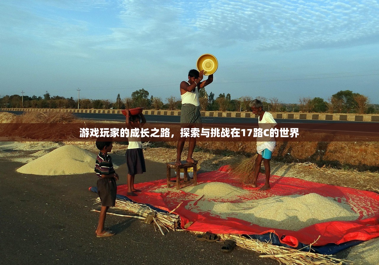 游戏玩家的成长之路，探索与挑战在17路C的世界