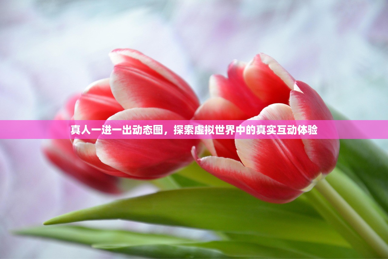 真人一进一出动态图，探索虚拟世界中的真实互动体验