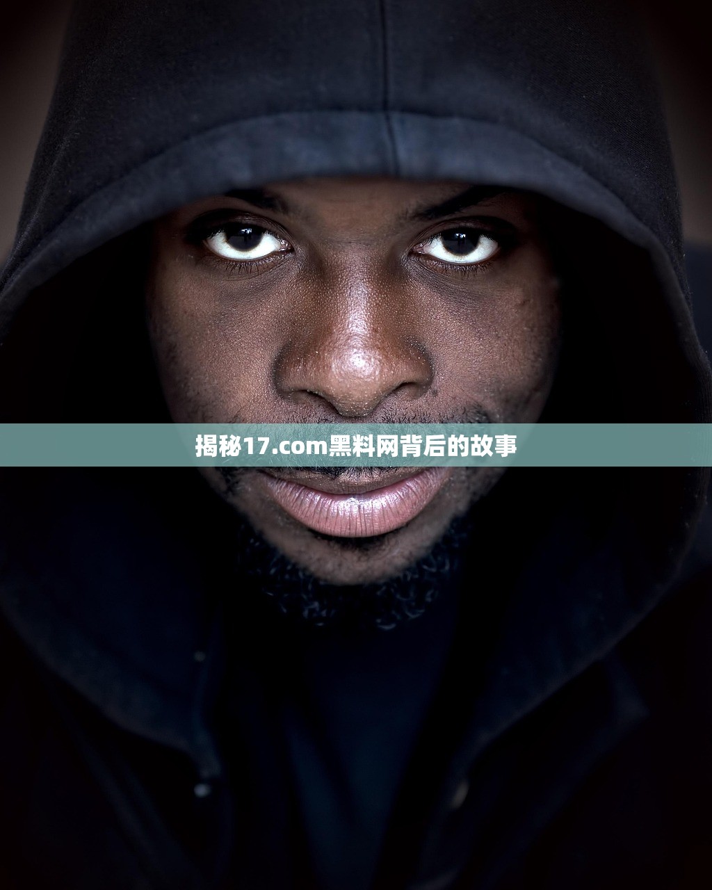 揭秘17.com黑料网背后的故事