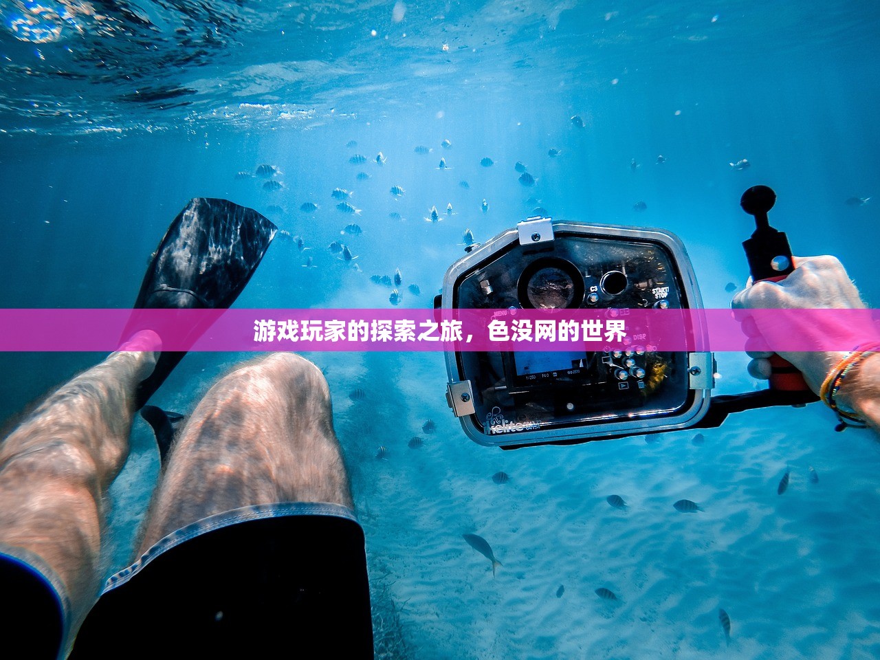 游戏玩家的探索之旅，色没网的世界