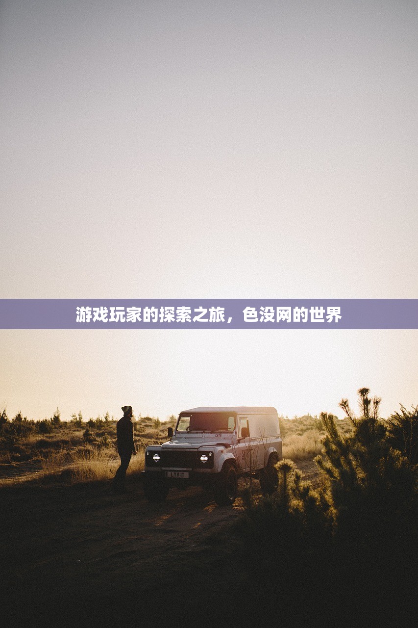 游戏玩家的探索之旅，色没网的世界