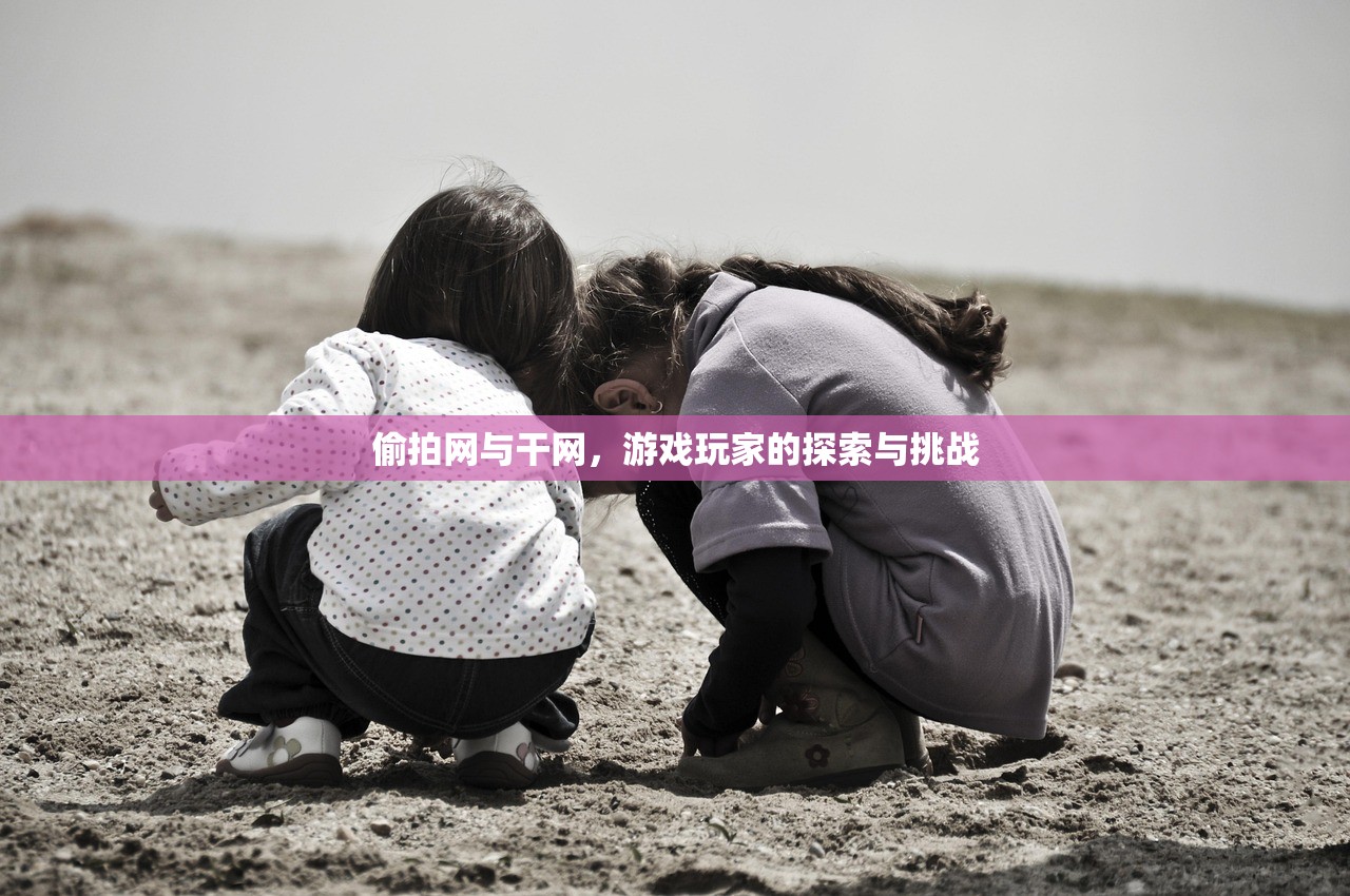 偷拍网与干网，游戏玩家的探索与挑战