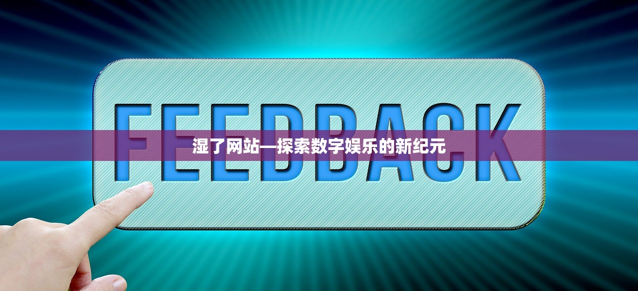 湿了网站—探索数字娱乐的新纪元