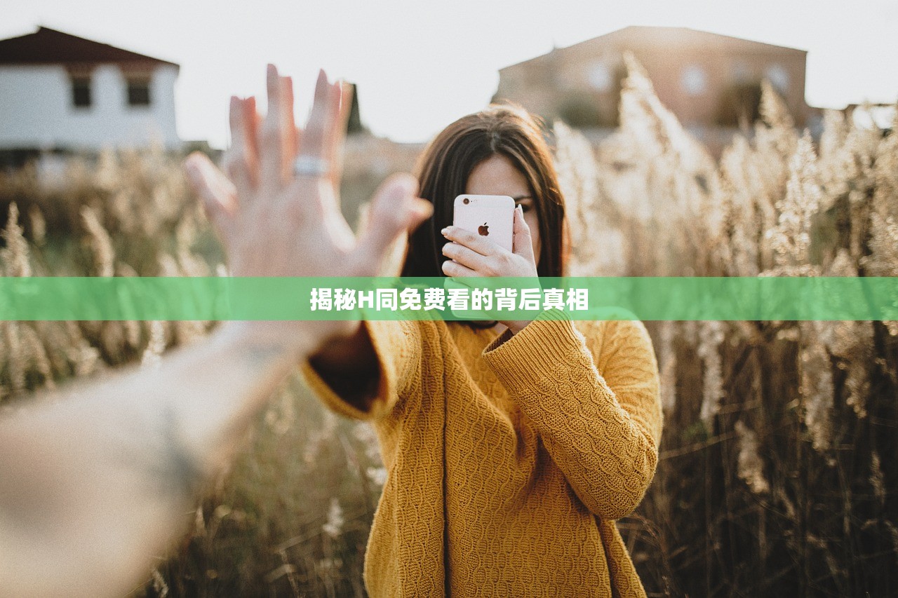 揭秘H同免费看的背后真相